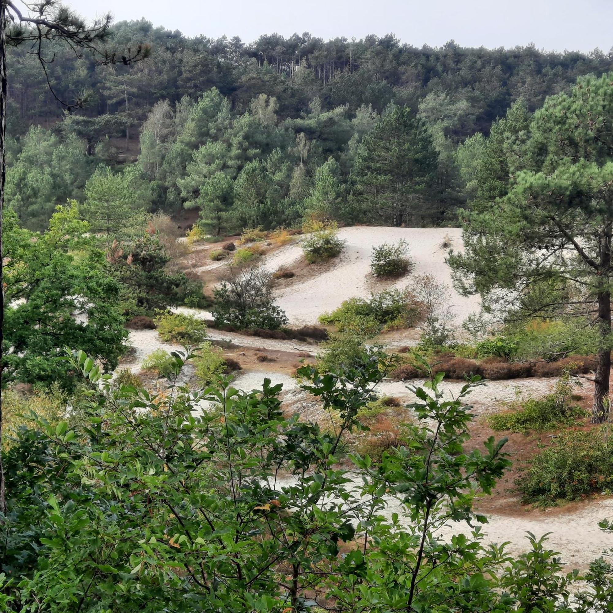 Meertje Villa 81 Op Recreatiepark De Wielen Άγιος Μαρτίνος Εξωτερικό φωτογραφία